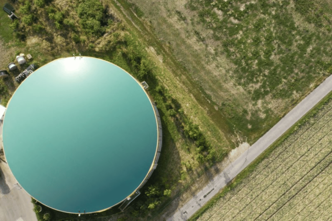 Bioenergy