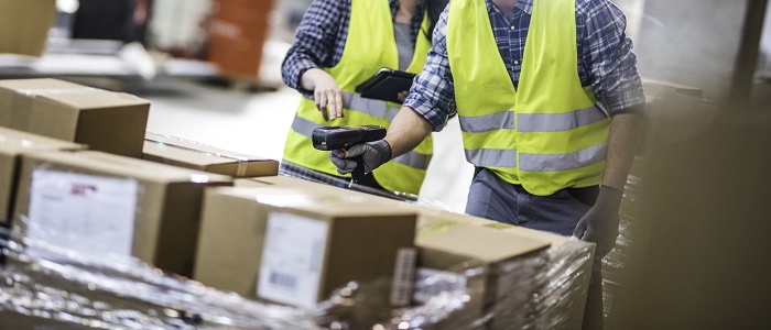 Employees scanning stock at freight processing facility