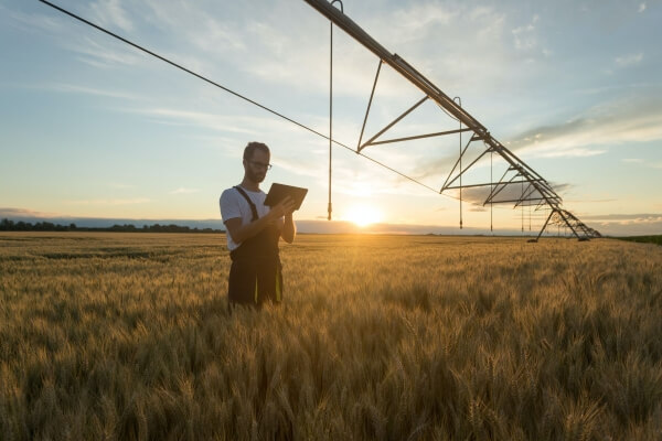 Man standing with ipad in wheat fields